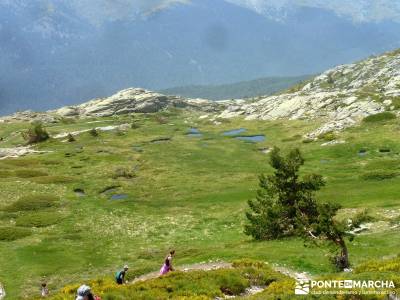 Lagunas de Pelañara-Peña Cítores- Guadarrama; senderistas singles madrid senderismo